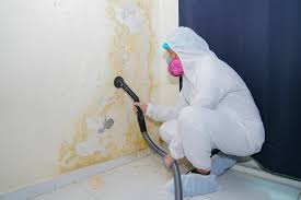 Biohazard Mold Removal in Deltona, FL